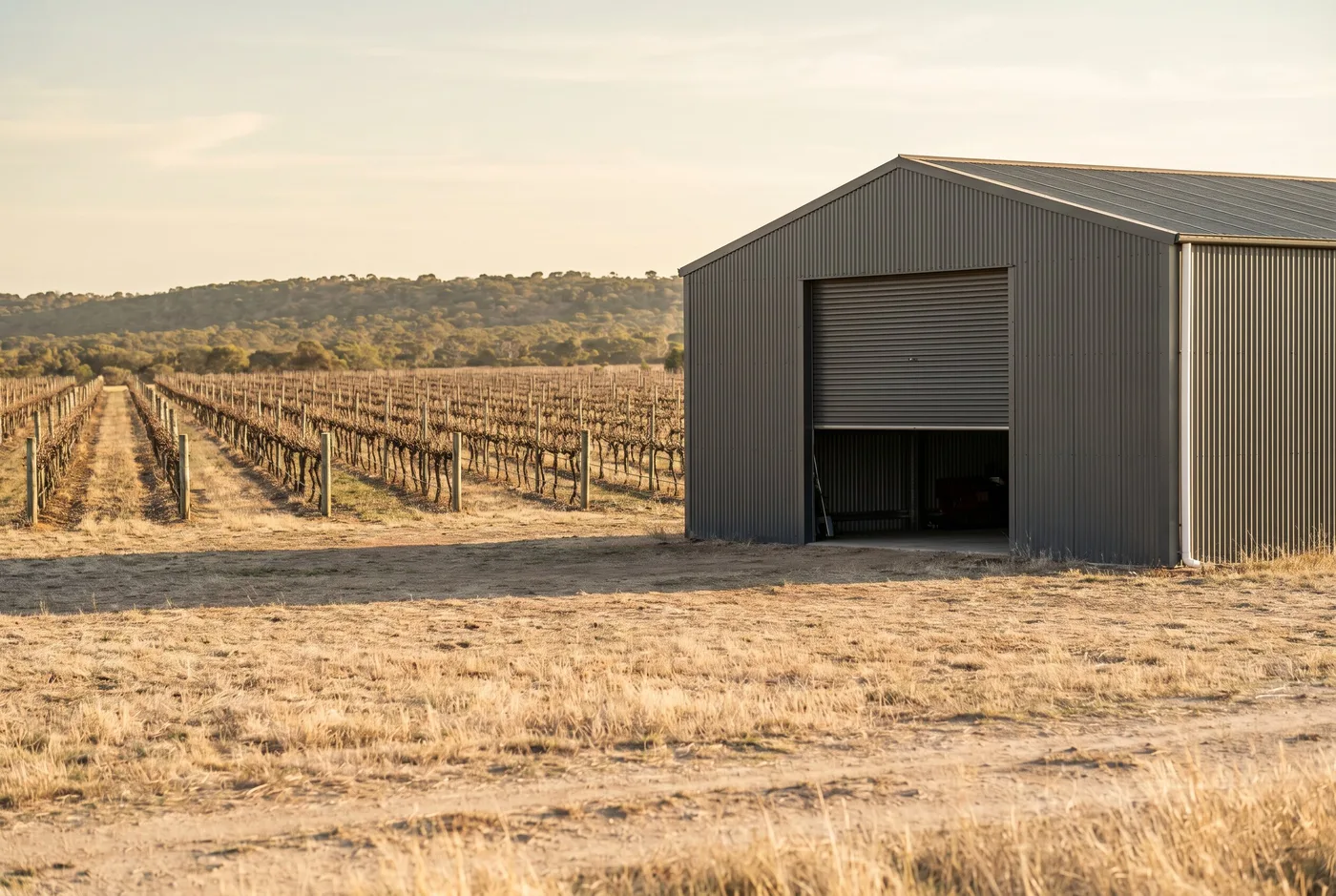 A machinery shed with a wide steel roller door at the edge of vineyard rows near Broke